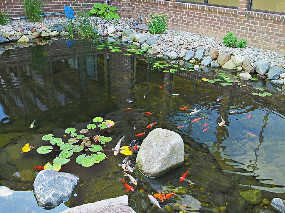 Causeway Bay Hotel Lansing Exteriér fotografie